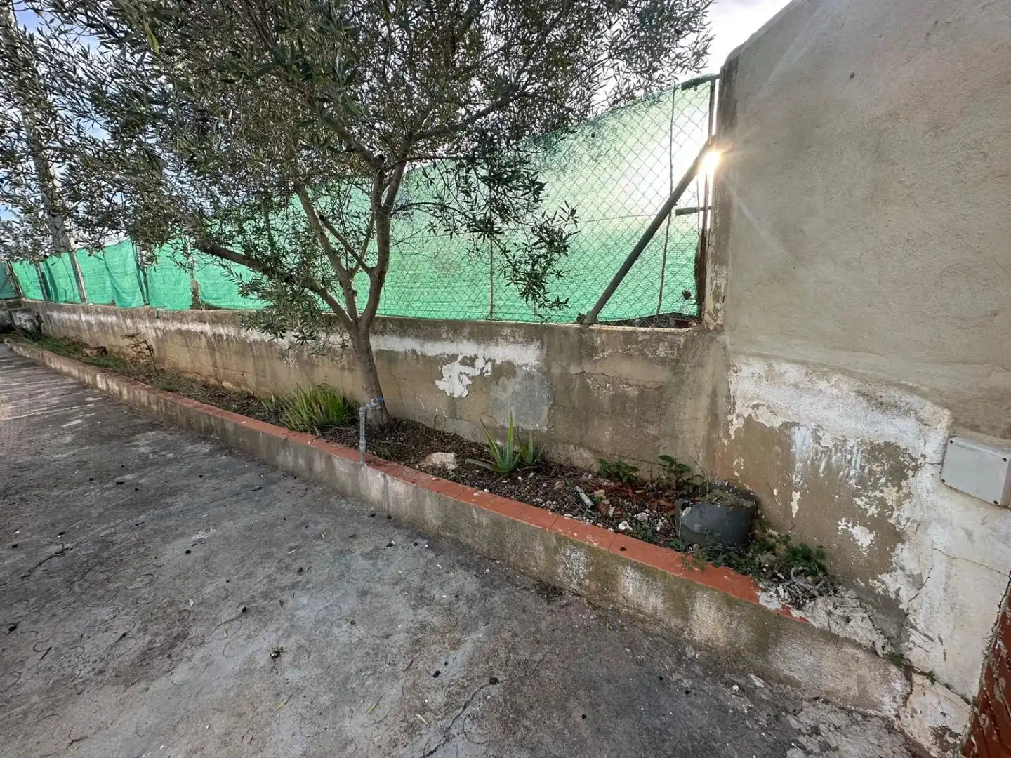 Detached house with pool for sale in Real, imagen 41