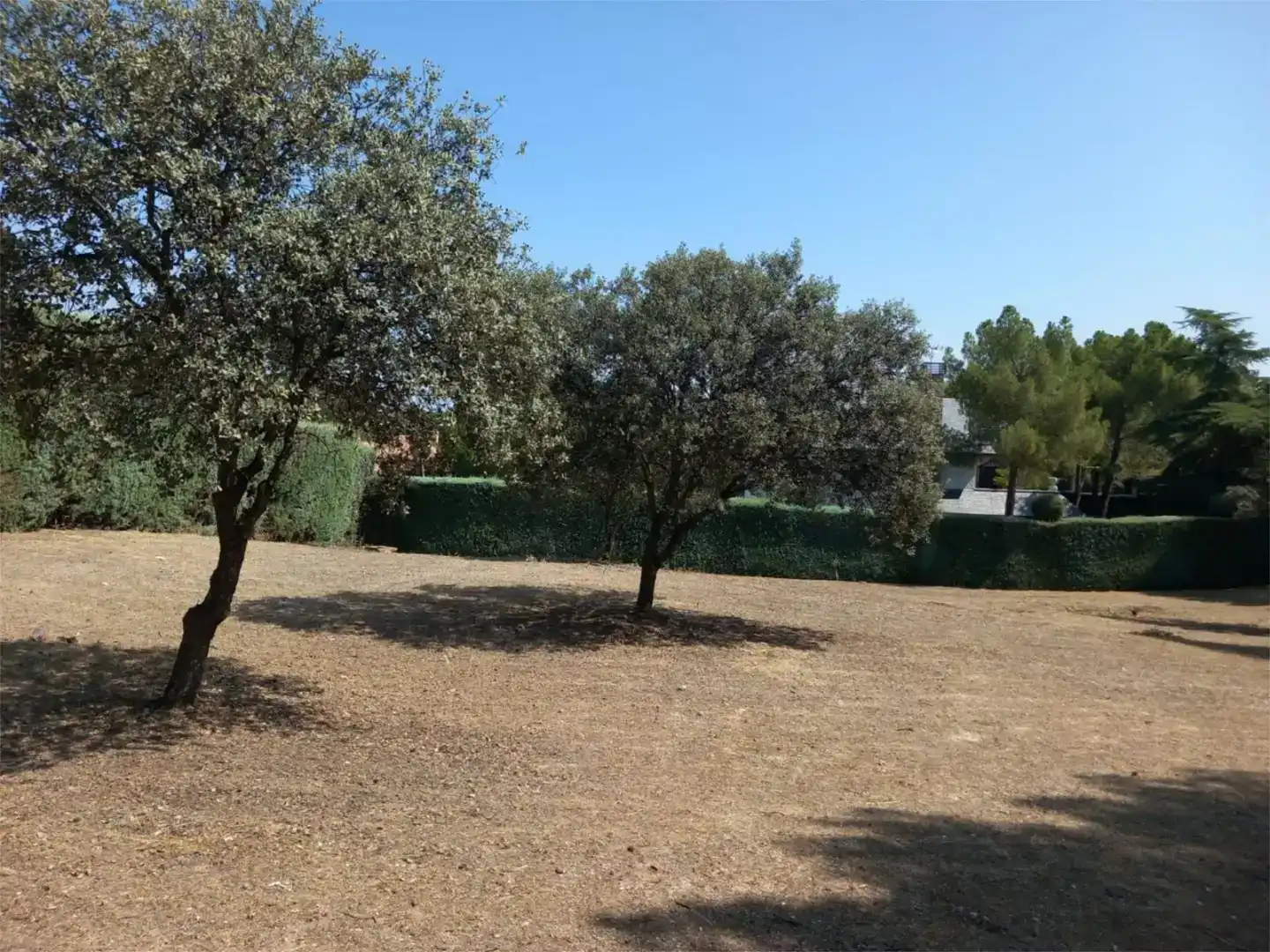Terreno en venta en Villaviciosa de Odón