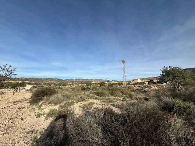 Lands and plots for sale in Abanilla, imagen 3