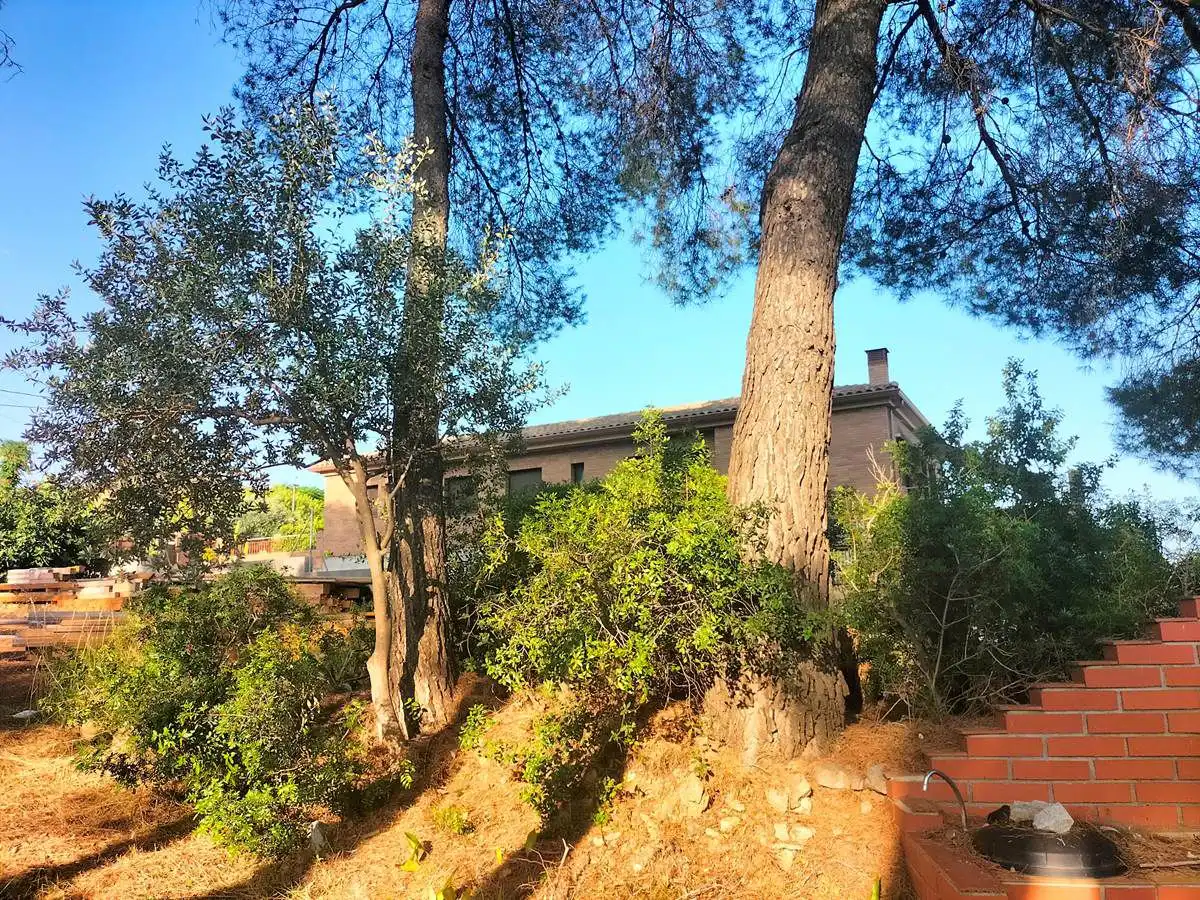 Terrenos y solares en venta en Castellbisbal, imagen 16