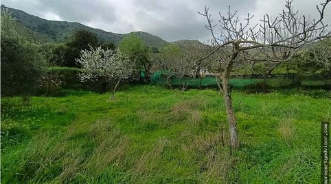 Cortijo LUBRIN con pozo de agua, imatge 5