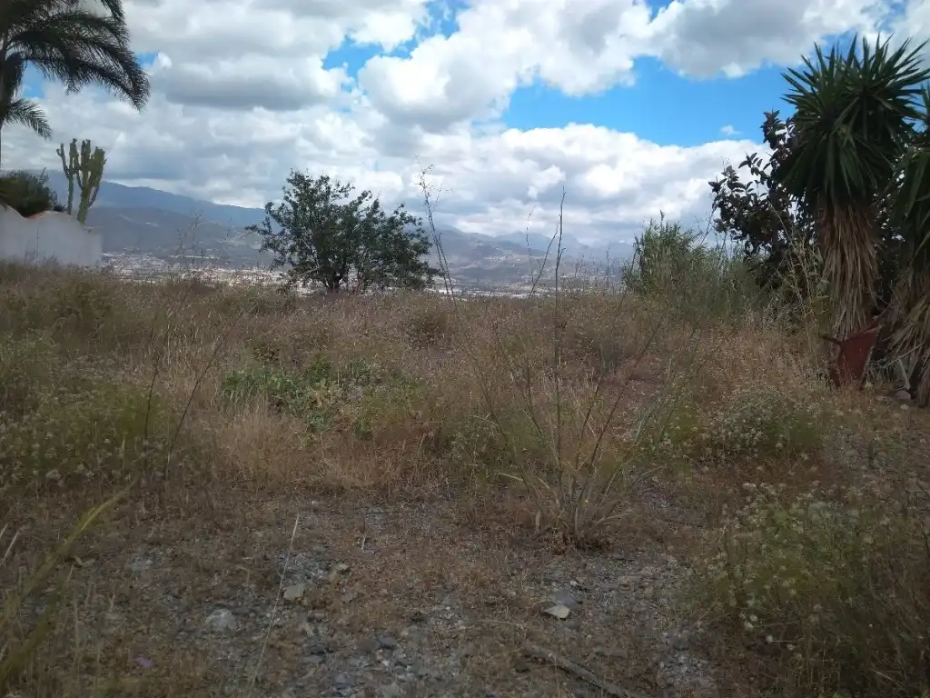 Rural land for sale in Almayate, imagen 2