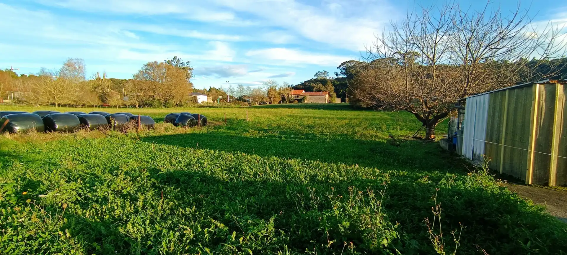 Terrenys i solars en venda a Maoño -  Azoños, imagen 6