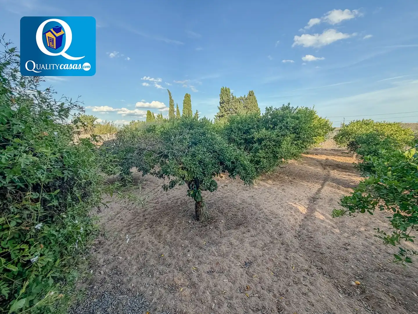 Casa o xalet en venda en Partidas de Alicante