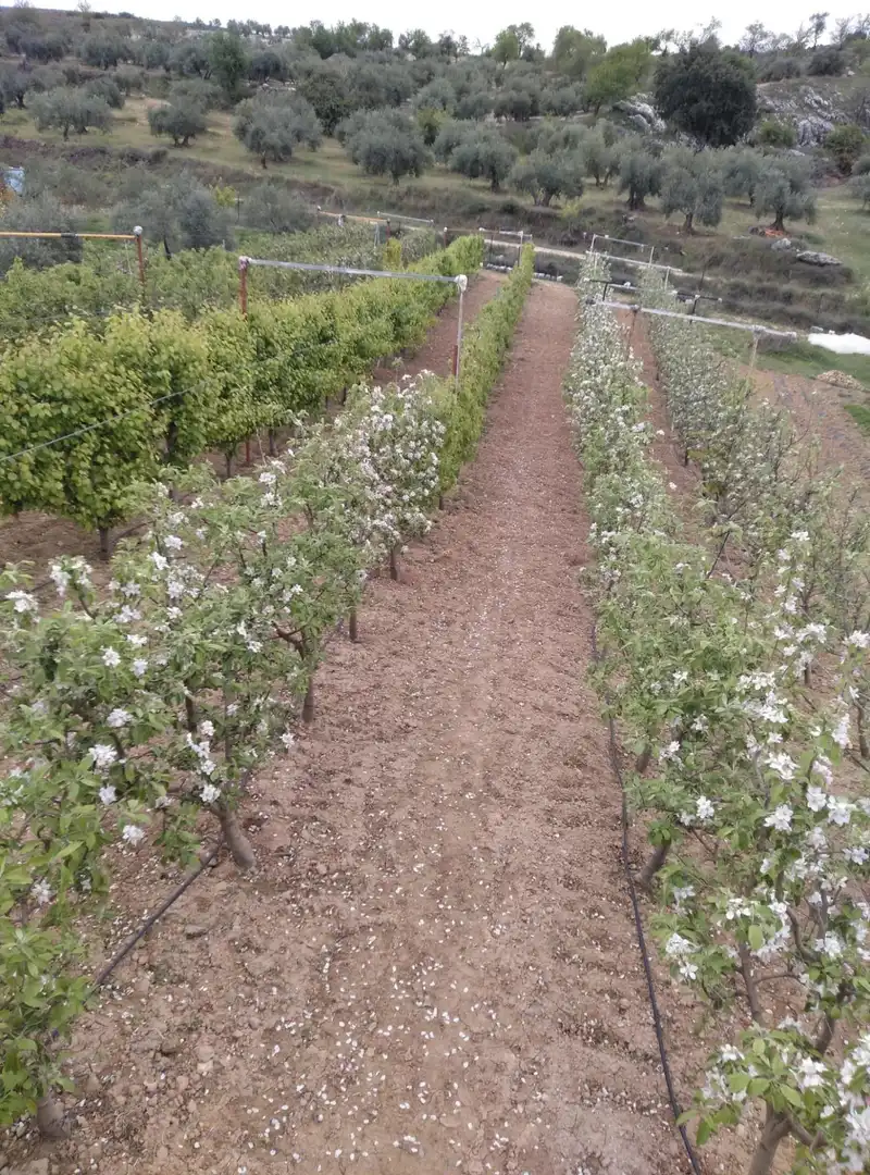 Maison rustique avec jardin à vendre à Cogollos de la Vega, imagen 91