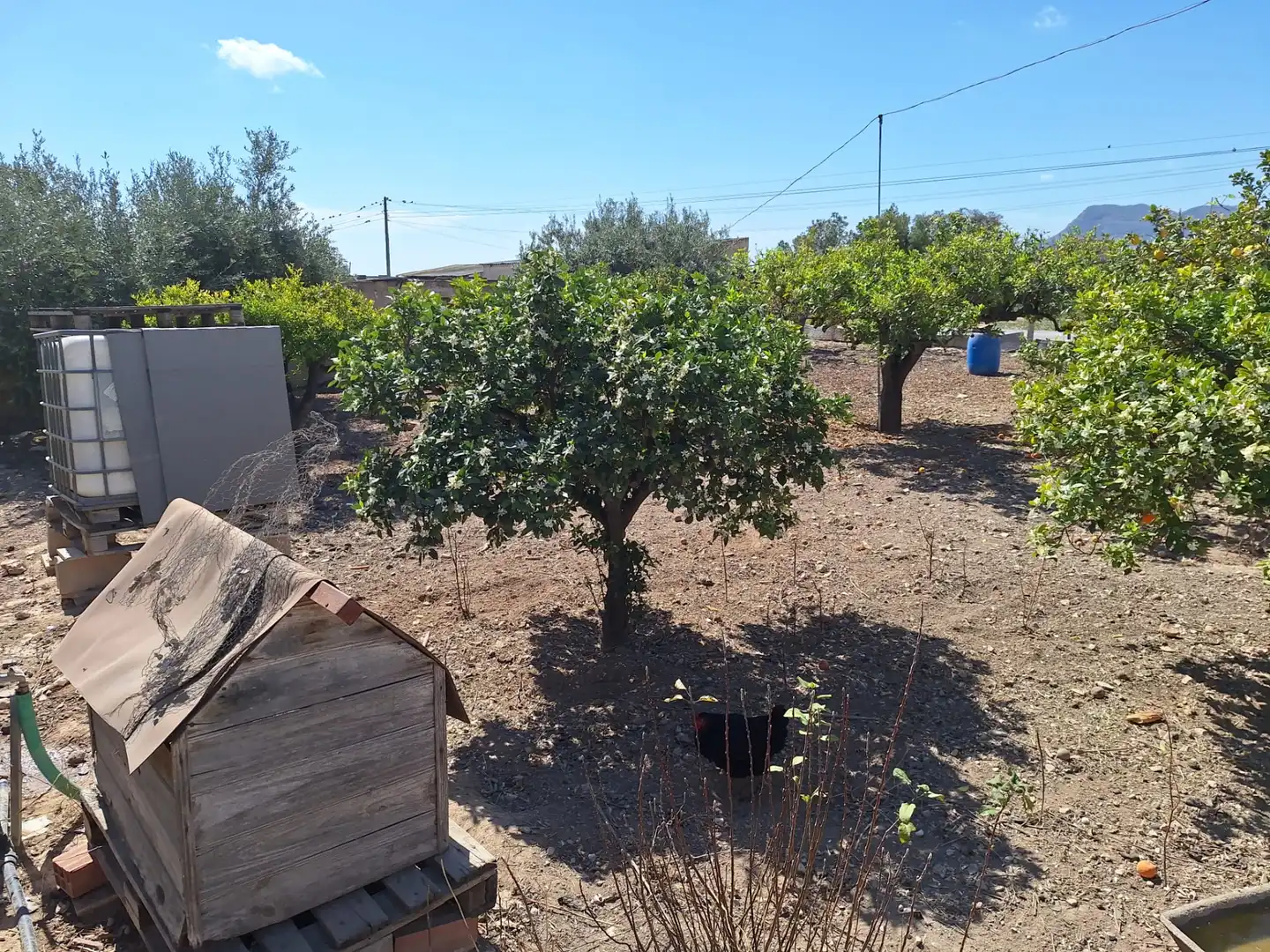 Casa o xalet en venda en Alicante / Alacant amb Jardí privat, Terrassa i Traster