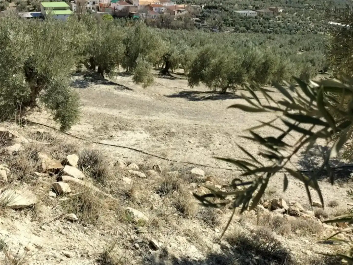 Terreno en venta en Huesa