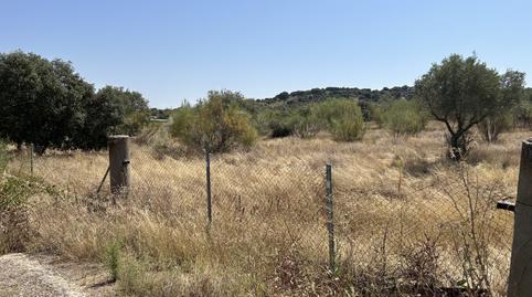 Foto 2 de Terreno en venta en Navas del Rey, Madrid