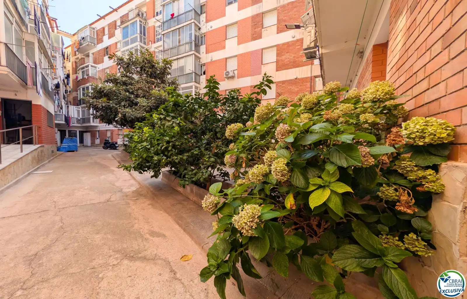 Terrace of Flat for sale in Portbou