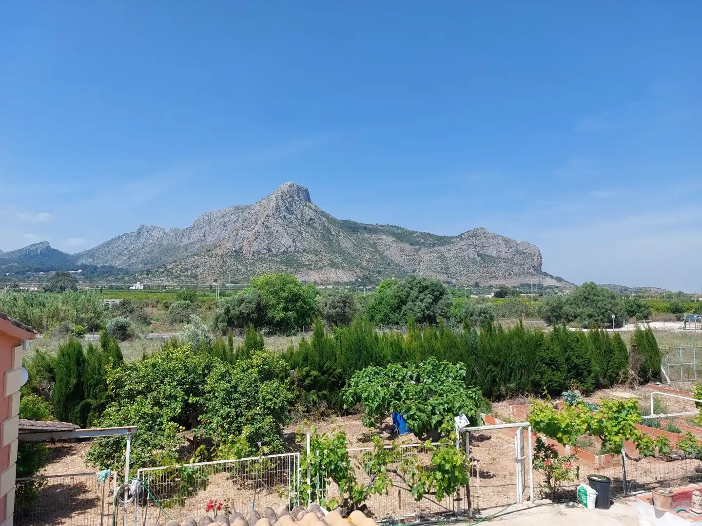 Jardín de Casa o chalet en venta en Ondara con Aire acondicionado, Calefacción y Jardín privado