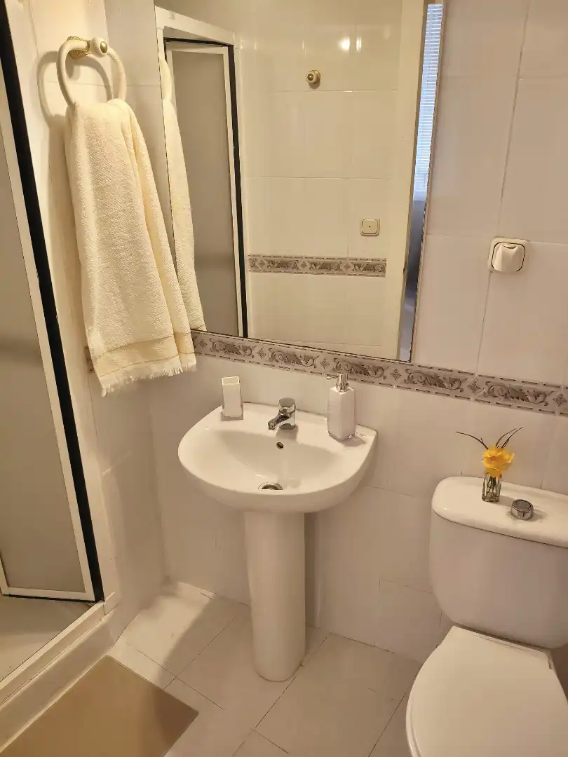 Bathroom of Apartments for rent in Granada  with Air Conditioner, Heating and Furnished