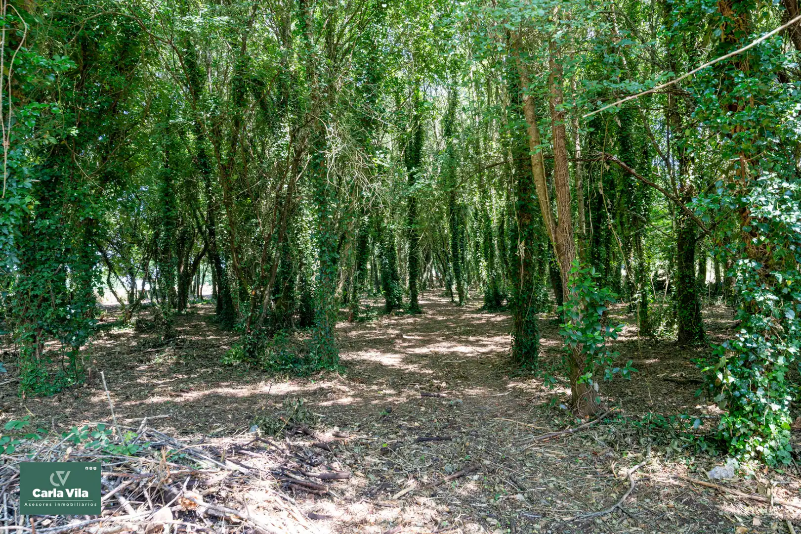 Finca rústica en venta en Lugo con Jardín privado y Balcón