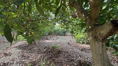 Casa en venta en La Viñuela, immagine 4