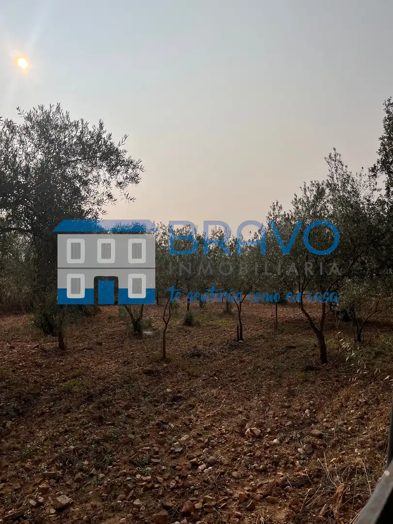 Chalet en venta en Don Benito, imagen 26