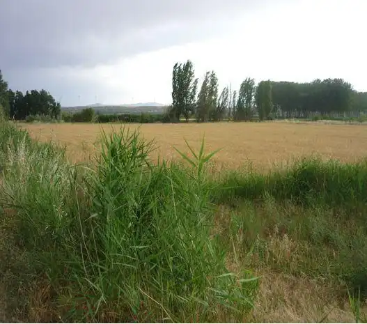 Terreno rustico in vendita a Novillas, imagen 7