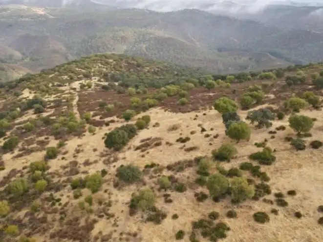 Terreno en venta en Zalamea la Real