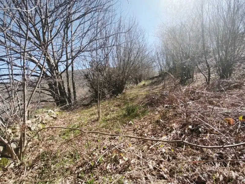 Terreni e lotti in vendita a Rionansa, imagen 15
