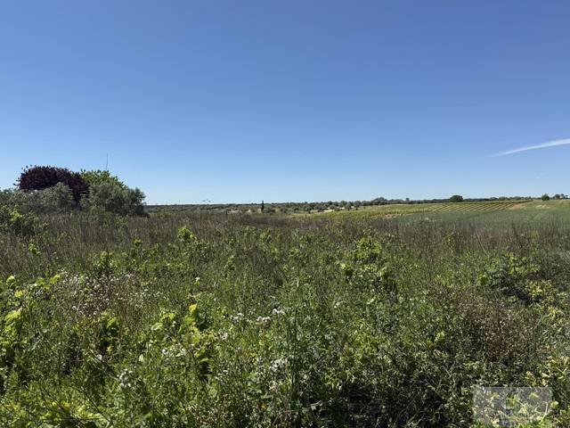 Terreno residencial en Venta en POLIGONO 12 en Bollullos Par del Condado