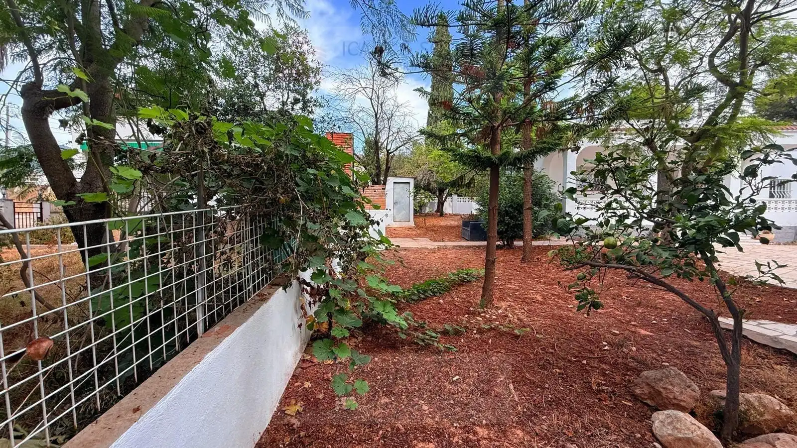 Jardí de Casa o xalet en venda en Alcanar amb Terrassa i Traster