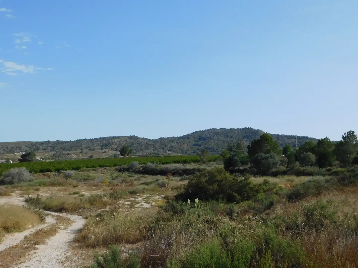 Terreno residencial en venta en San Miguel de Salinas, imagen 6