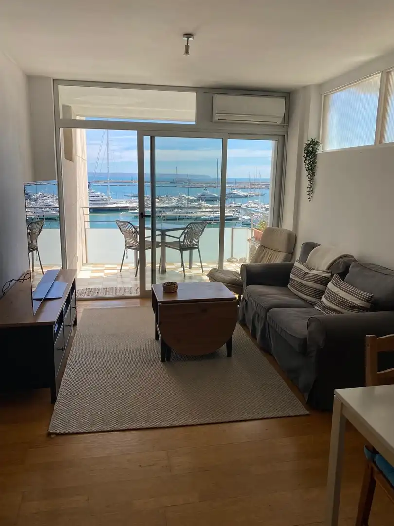 Sala d'estar de Pis de lloguer en  Palma de Mallorca amb Moblat i Es permeten mascotes
