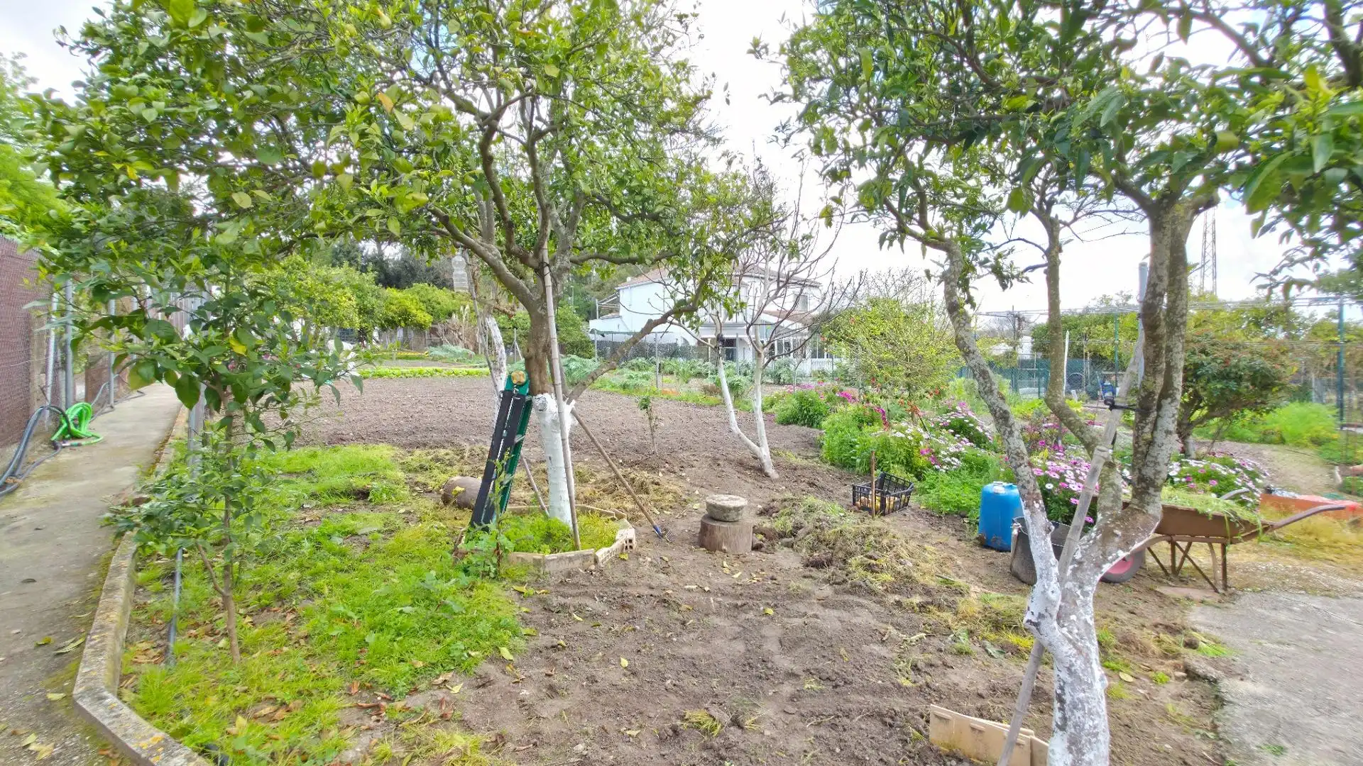 Houses for sale in Arcos de la Frontera  with Private garden and Storage room