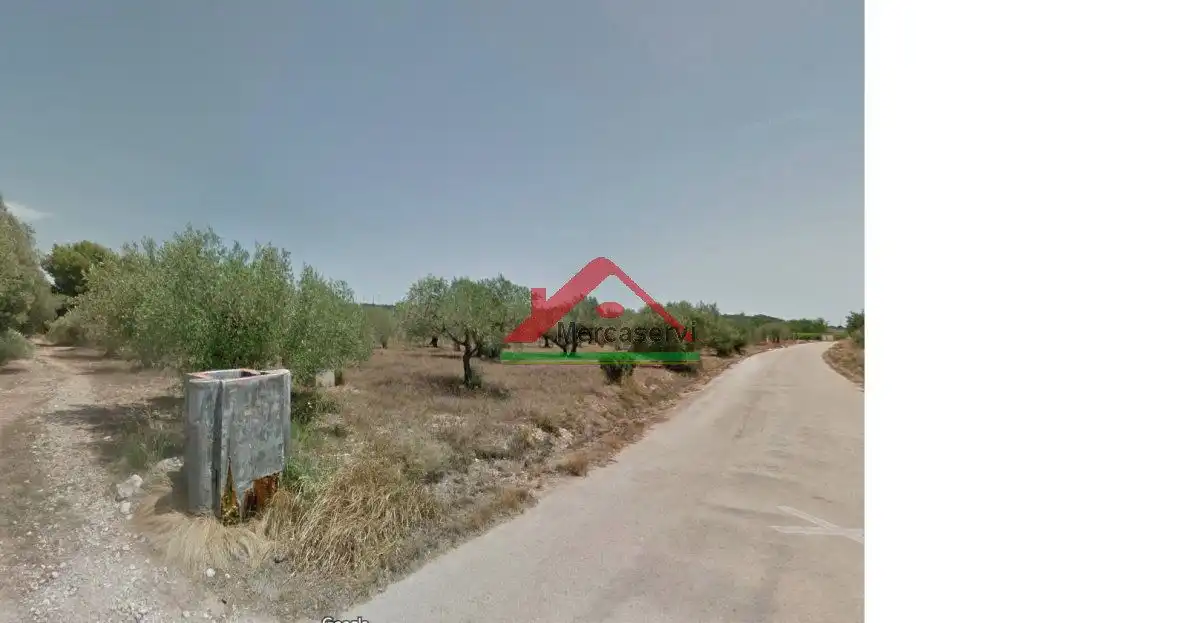 Finca rústica en venta en Vinaròs