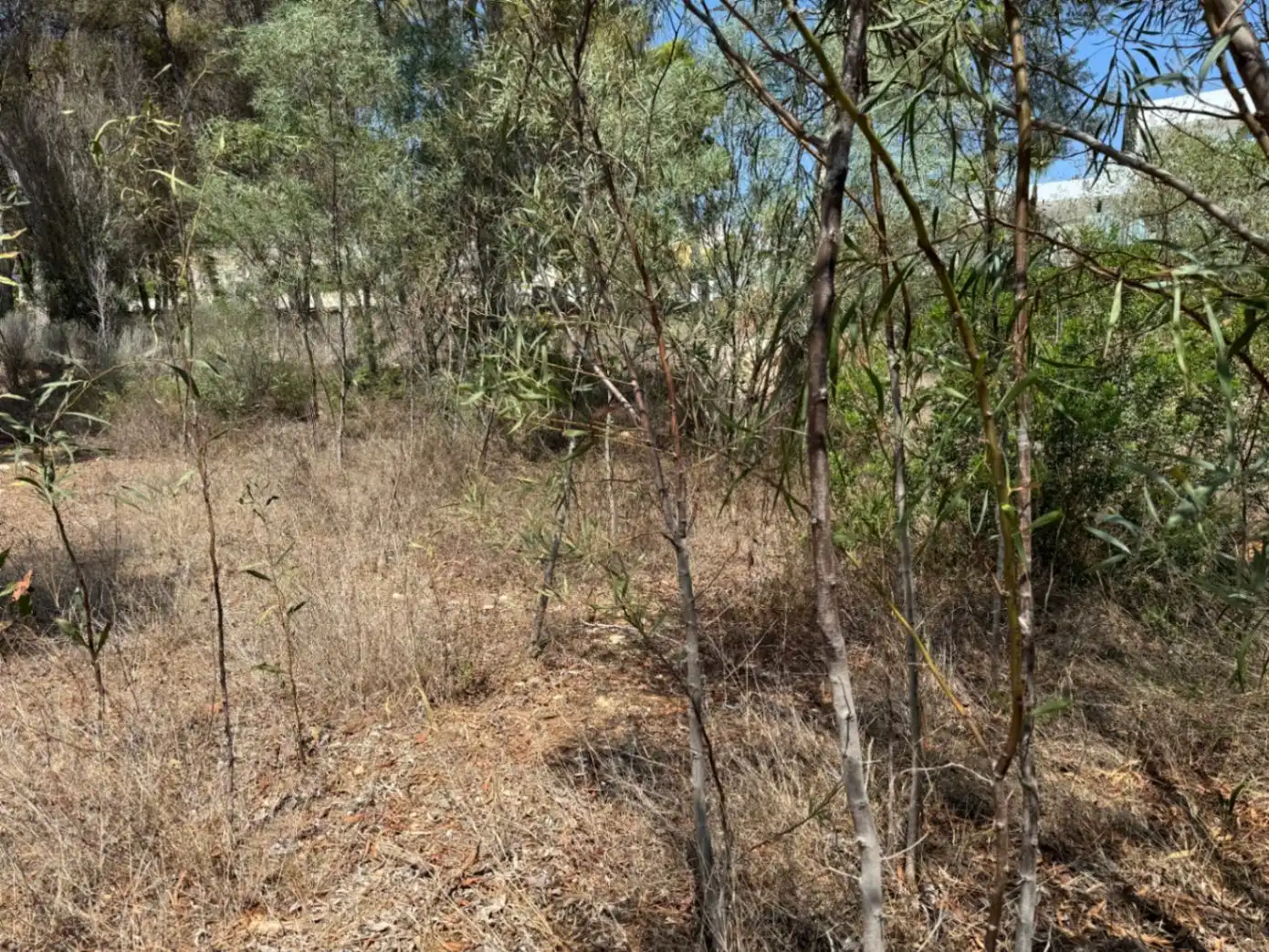 Terreny residencial en venda a Pinar del Advocat - Cometa, imagen 12