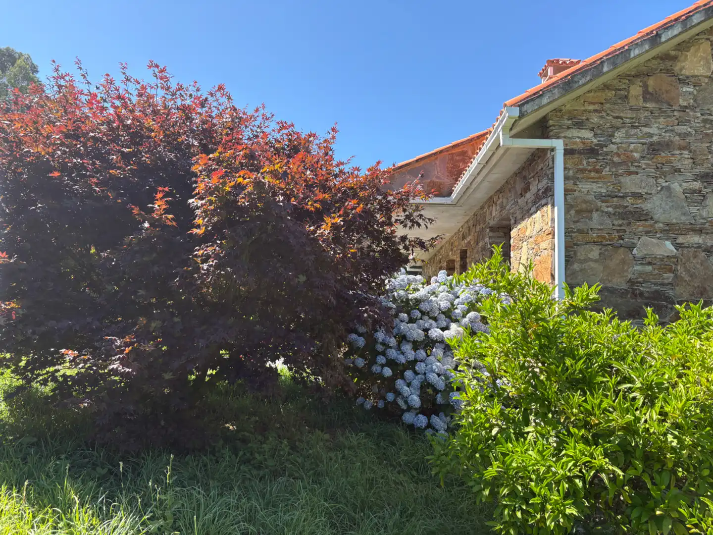 Vista exterior de Casa o chalet en venta en Cedeira con Calefacción, Jardín privado y Horno