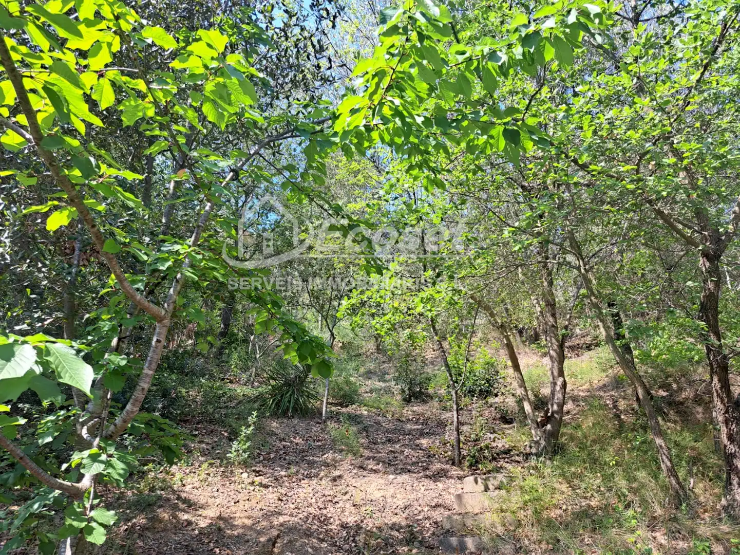 Terreno residencial en venta en Cervelló, imagen 4