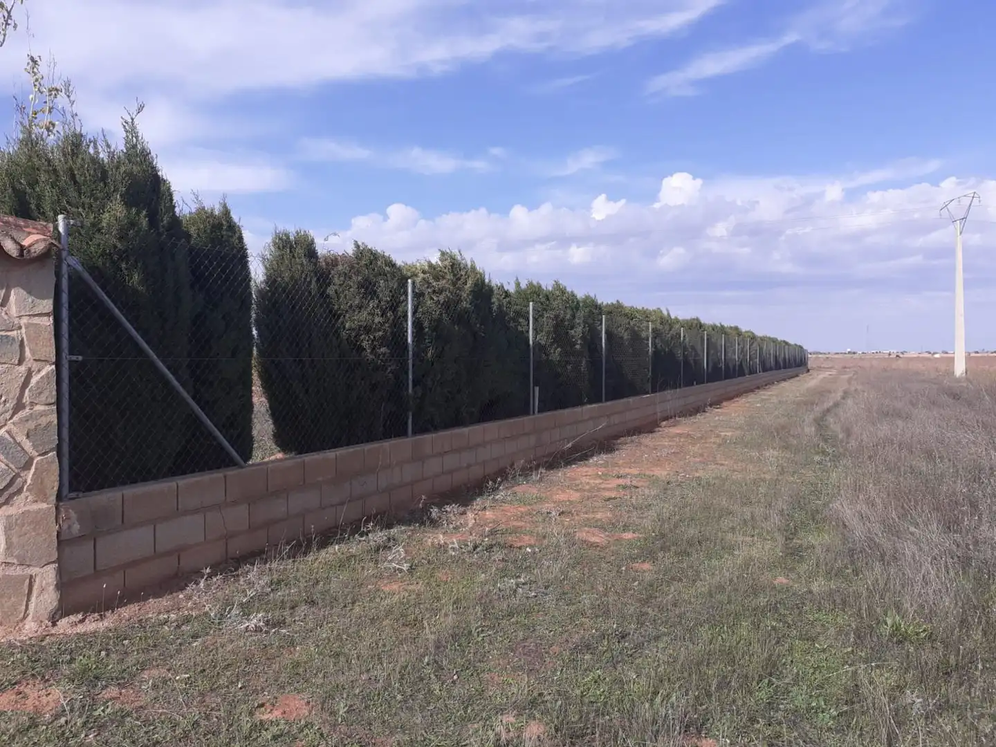 Lands and plots for sale in Valdepeñas, imagen 2