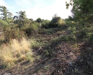 Residential for sale in El Berrueco
