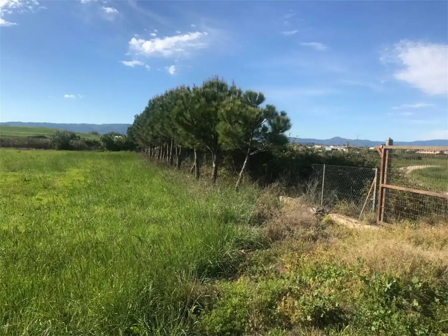 Land for sale in Moraleja