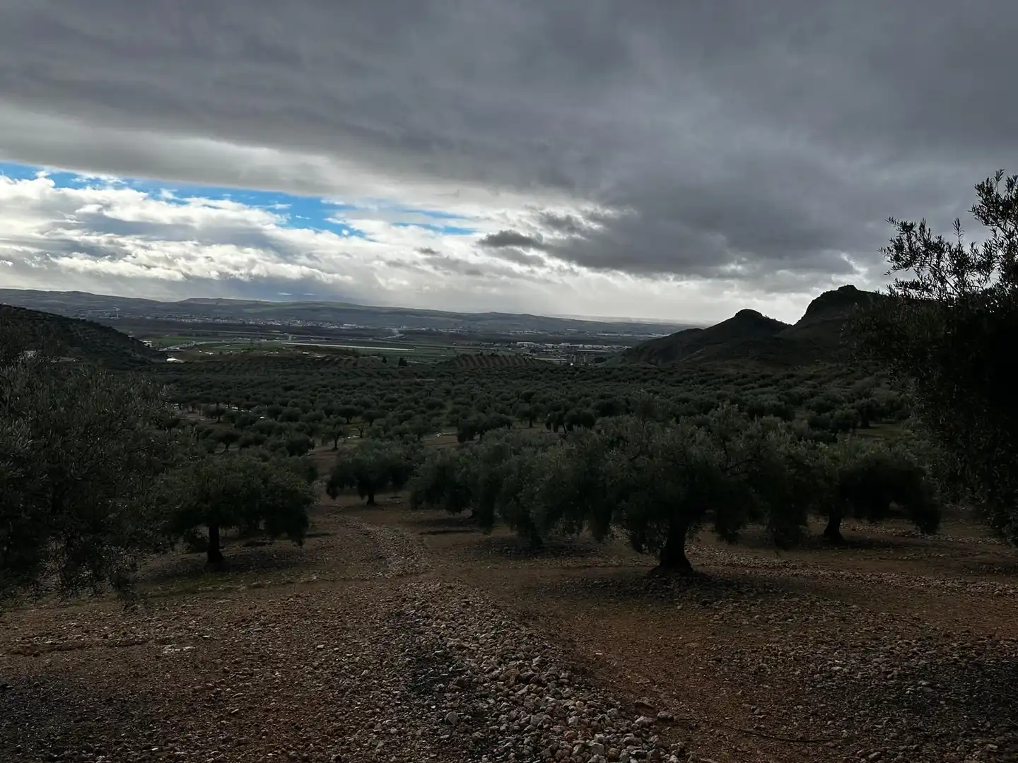 Terreni e lotti in vendita a Atarfe, imagen 19