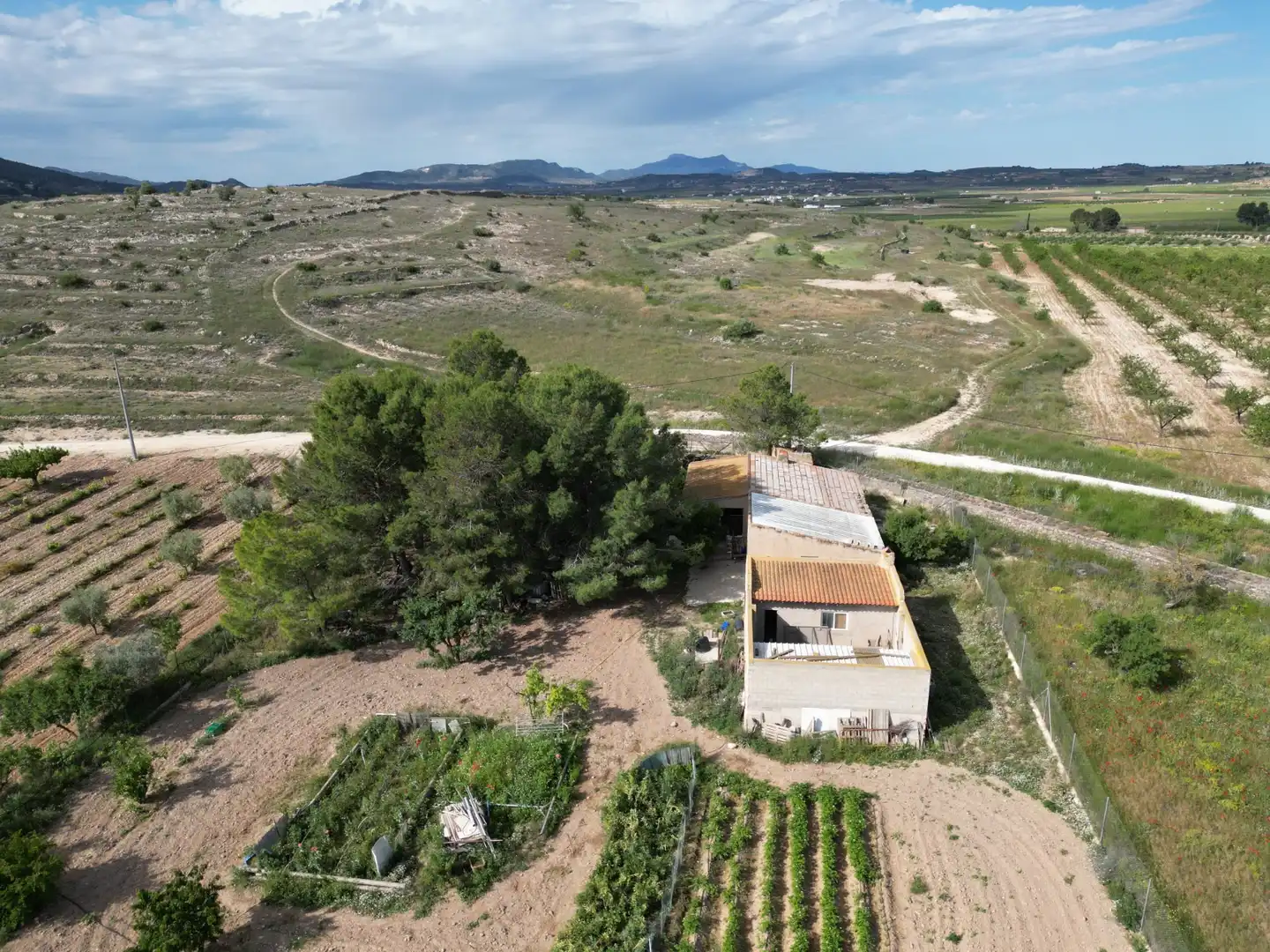 Terreno residencial en venta en El Pinós / Pinoso, imagen 7
