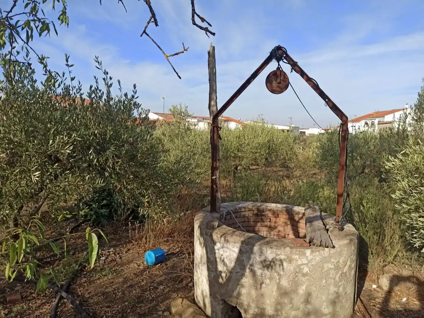 Planta baixa en venda en Granja de Torrehermosa amb Jardí privat