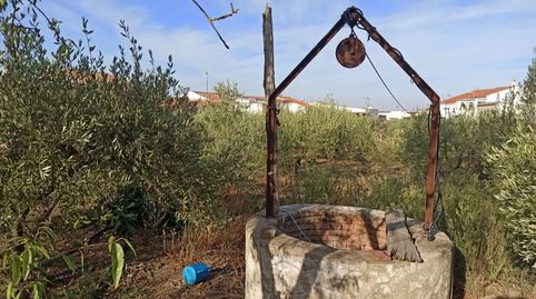 Foto 4 de Planta baixa en venda a Calle Soledad, 33, Granja de Torrehermosa, Badajoz