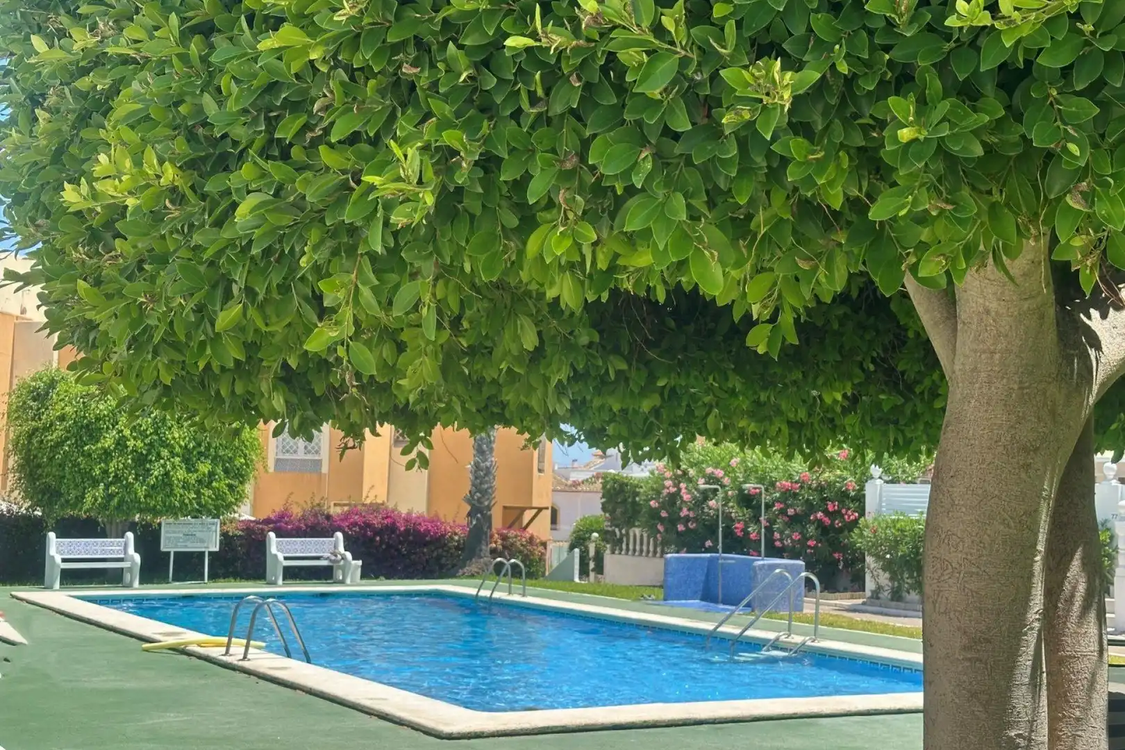 Piscina de Casa o chalet en venta en Torrevieja con Aire acondicionado, Jardín privado y Terraza