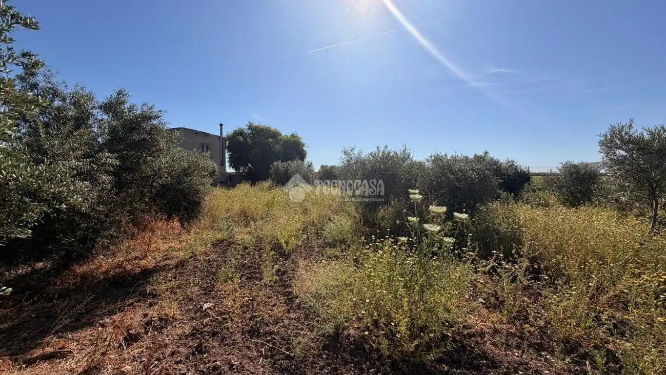 Terreno en venta en Paraje los los llanos, La Lantejuela