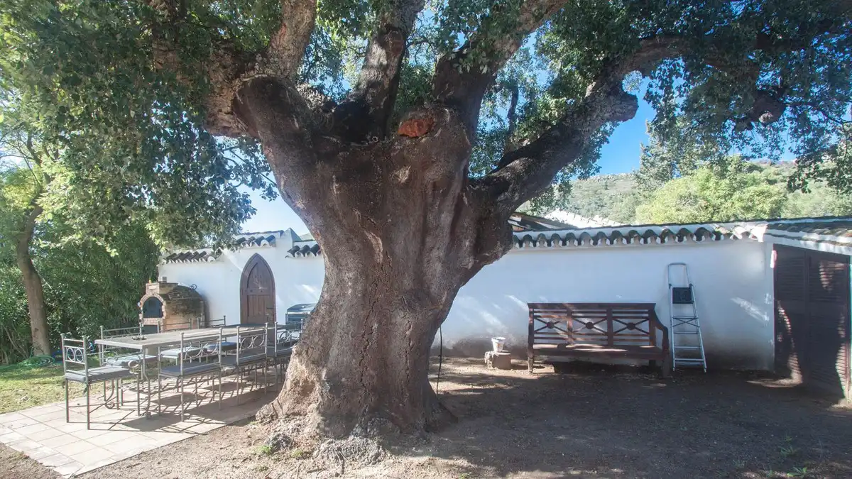 Casa rustica in vendita a Plaza de A.Galiano 3, imagen 49