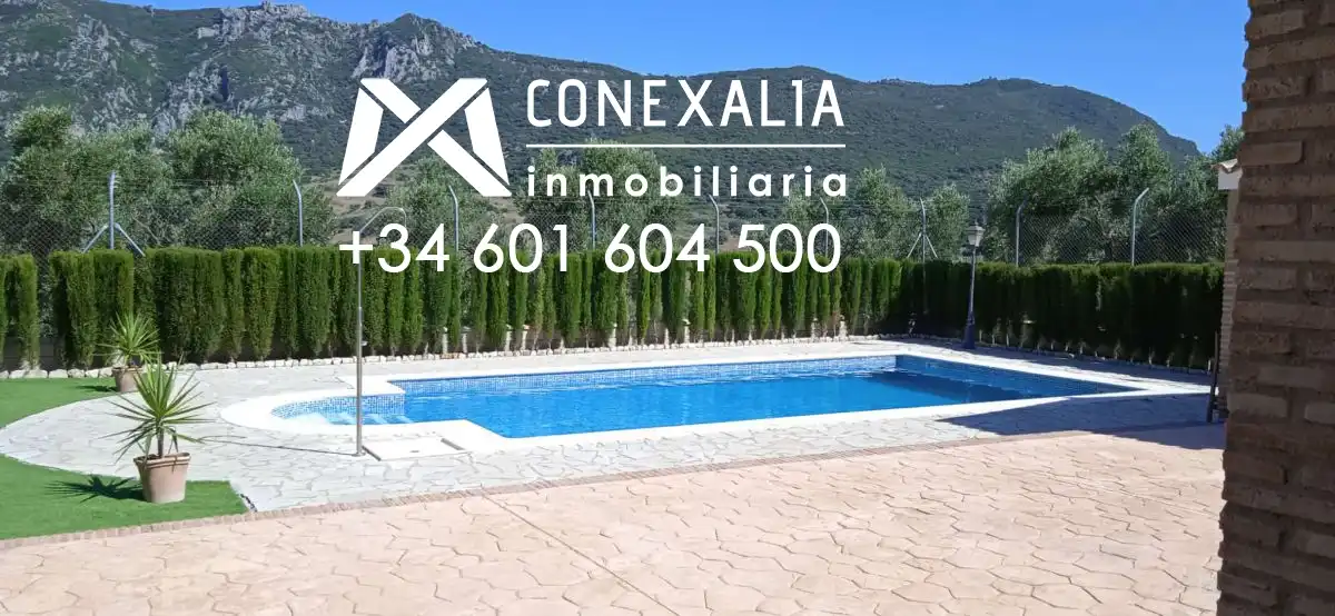 Piscina de Finca rústica en venta en Algodonales con Piscina