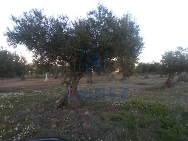 Terreni e lotti in vendita a Valsequillo, imagen 5