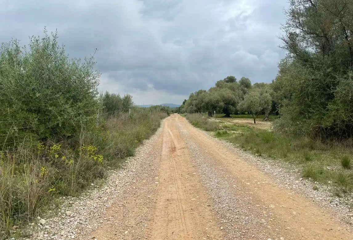Rural land for sale in Ptda Mas De Rector, imagen 5