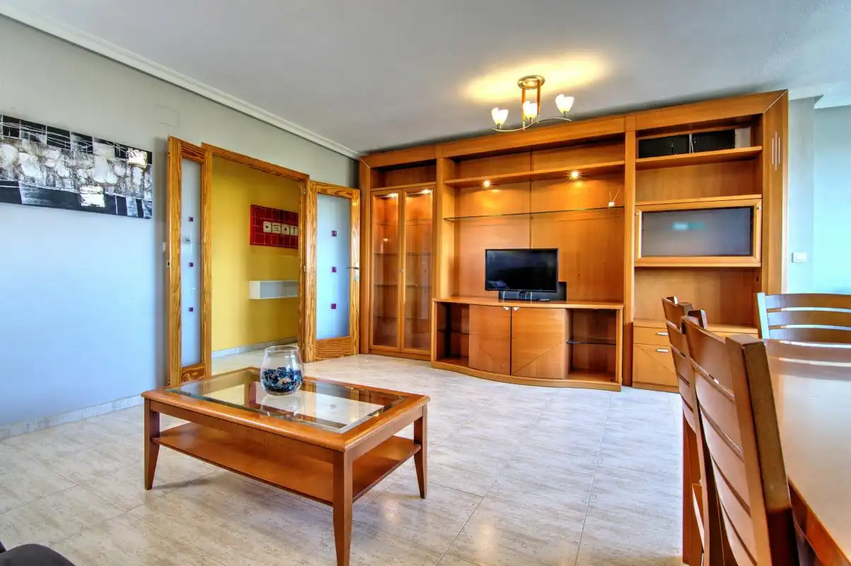 Living room of Flat for sale in San Vicente del Raspeig / Sant Vicent del Raspeig  with Air Conditioner, Heating and Private garden