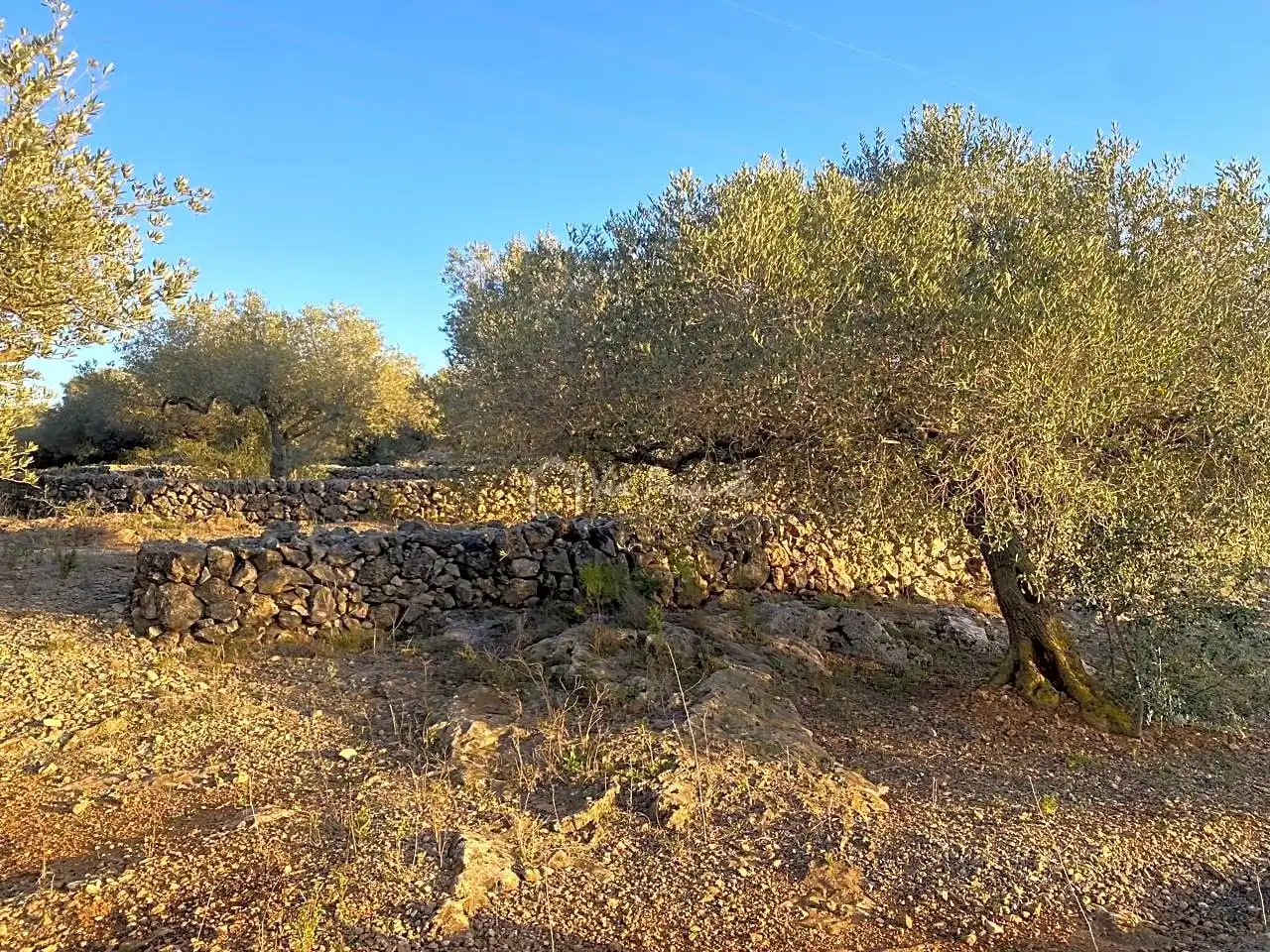 Terreno rustico in vendita a Aubach, imagen 26