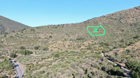 Olivar situado en la zona de Ses Closes, con vistas al mar.Acceso peatonal.Superficie del terreno18.606,00 m.