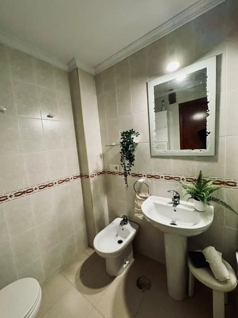 Appartement avec terrasse à vendre à Calle Ganado, imagen 24