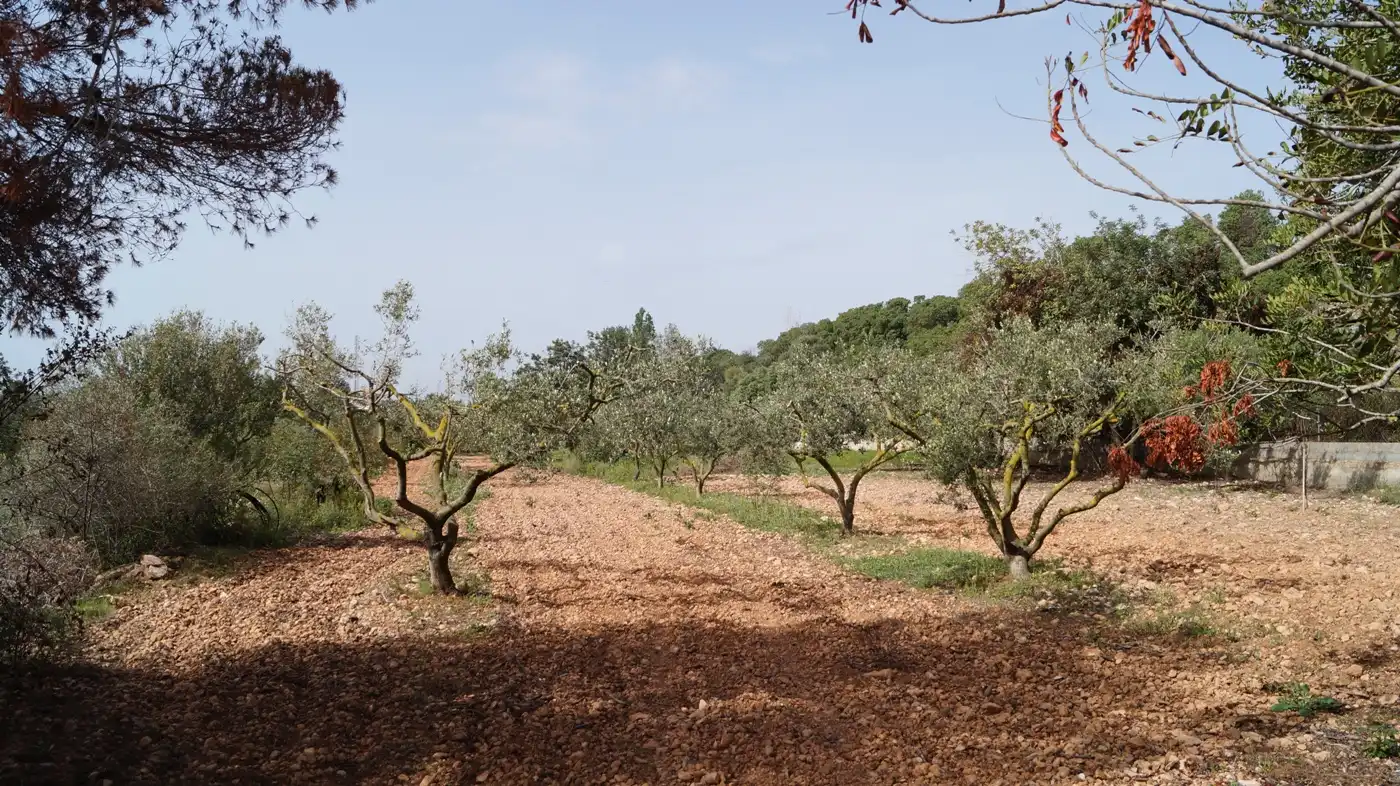 Terreno en venta en Torredembarra
