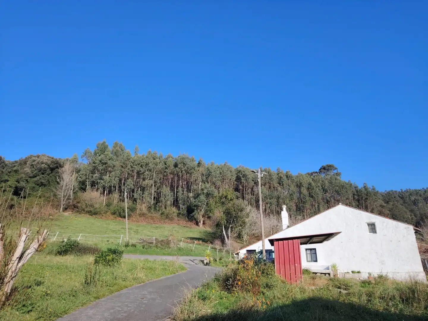 Vista exterior de Casa o chalet en venta en Gorliz con Jardín privado y Trastero