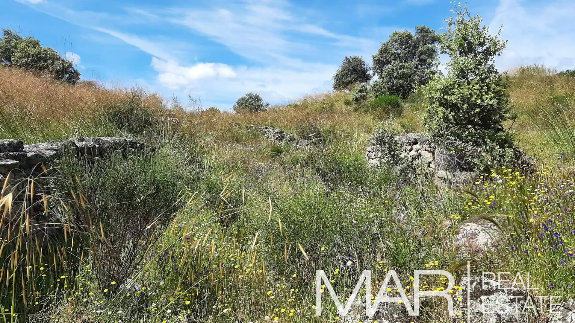 Terreni e lotti in vendita a Villar del Pedroso, imagen 8